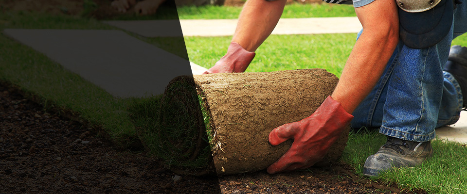 Metamora Landscapers